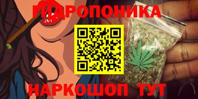 тгк Пушкино