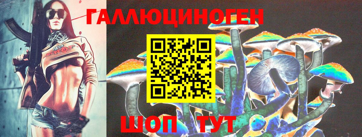 Псилоцибиновые грибы мицелий Чебоксары