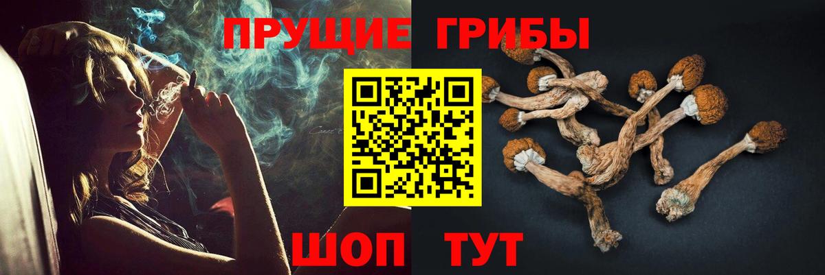 Чебоксары  Галлюциногенные грибы прущие грибы  Вход с VPN 